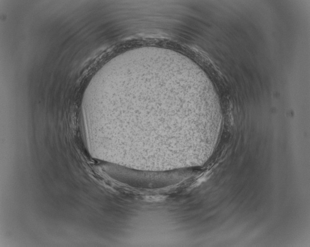 X0000078281110200612011737