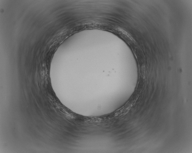 X0000078281111200612011737