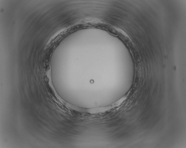 X0000078281112200612011737