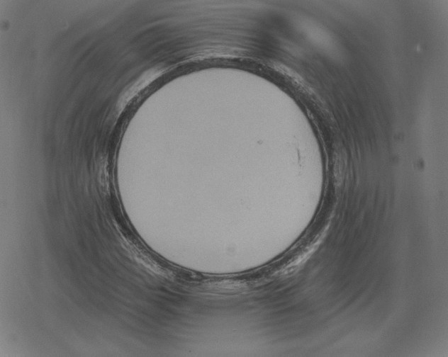 X0000078281113200612011737