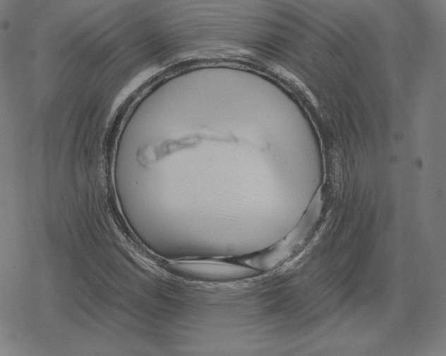 X0000078281114200612011737