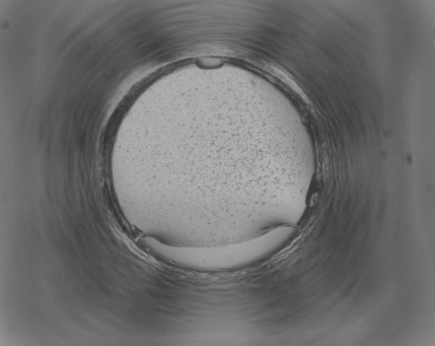 X0000078281116200612011737