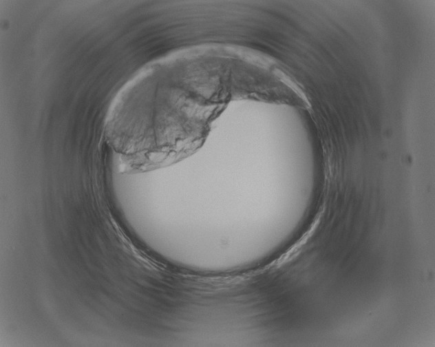 X0000078281117200612011737