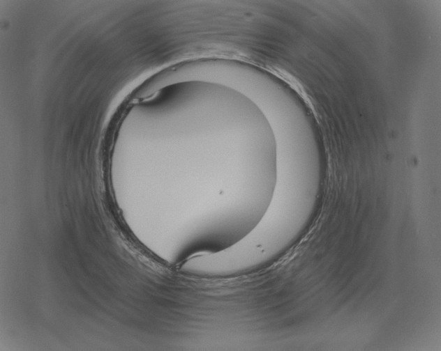 X0000078281120200612011737