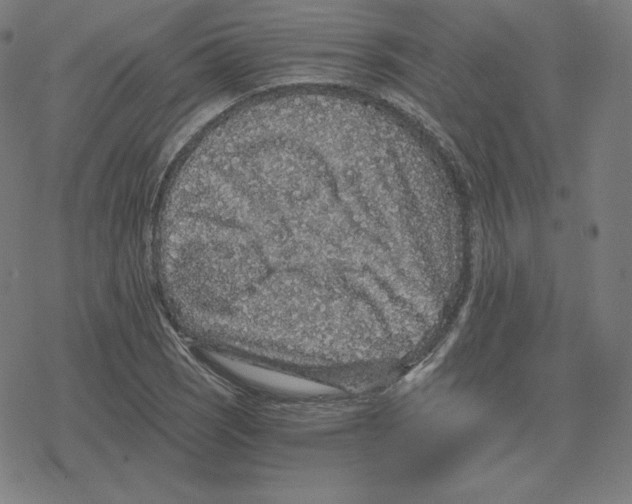 X0000078281121200612011737