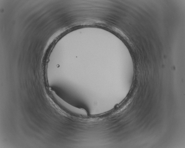 X0000078281122200612011737