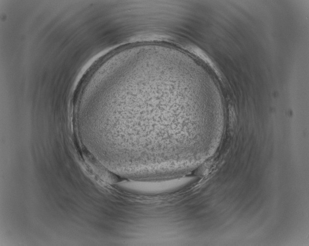 X0000078281124200612011737