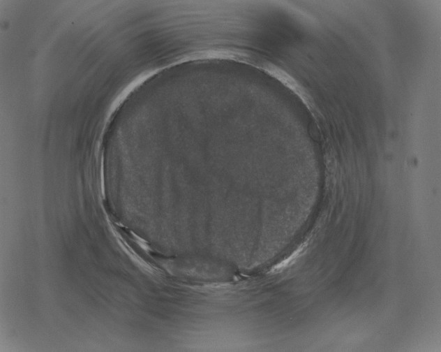 X0000078281127200612011737