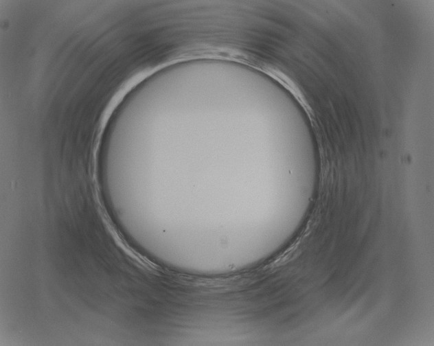 X0000078281128200612011737