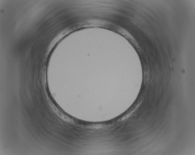 X0000078281130200612011737