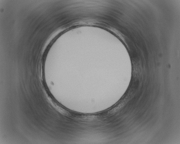 X0000078281131200612011737