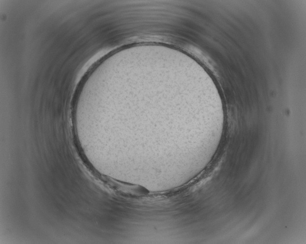 X0000078281133200612011738