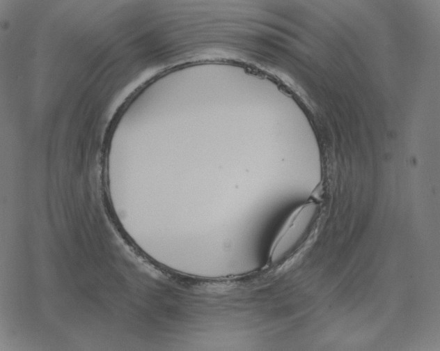 X0000078281134200612011738