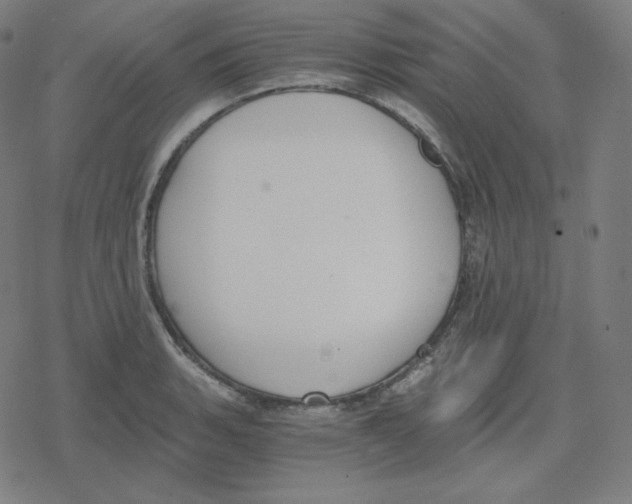 X0000078281135200612011738