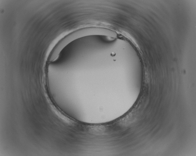 X0000078281136200612011738