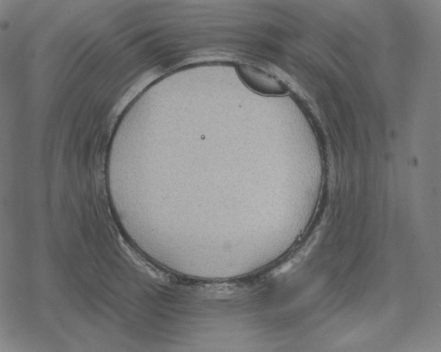 X0000078281137200612011738