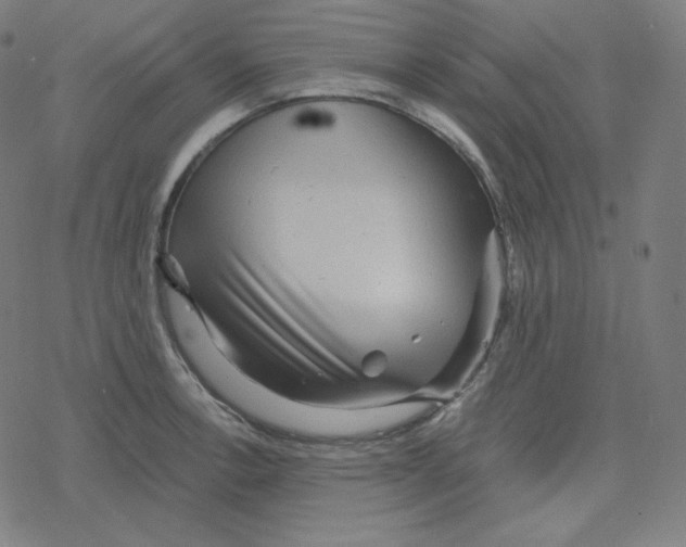 X0000078281138200612011738