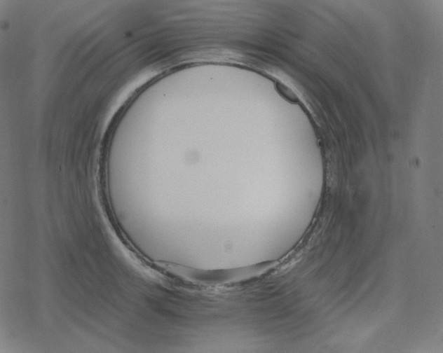 X0000078281139200612011738