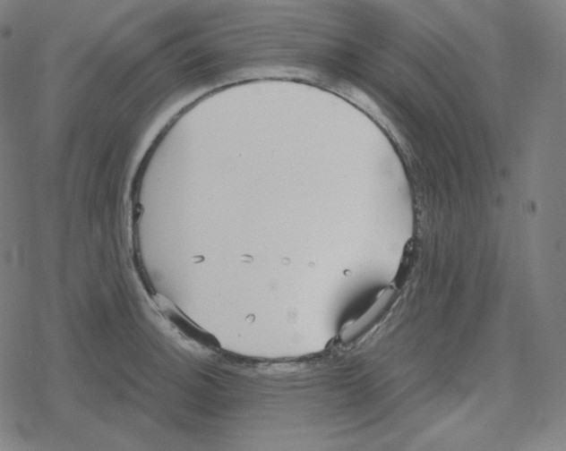 X0000078281140200612011738