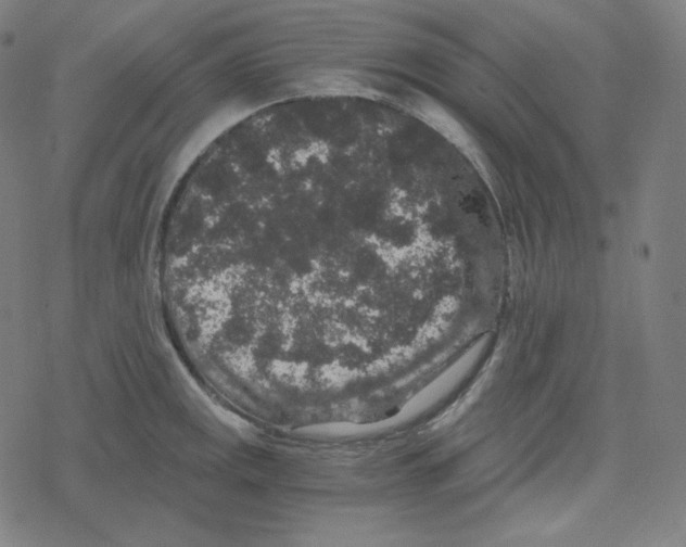 X0000078281141200612011738