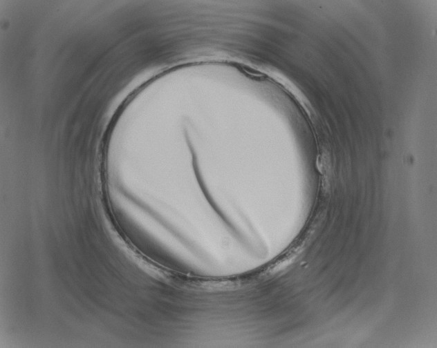 X0000078281142200612011738