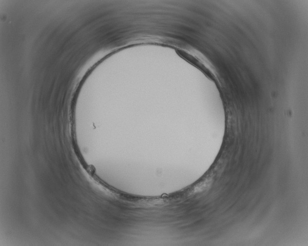 X0000078281143200612011738