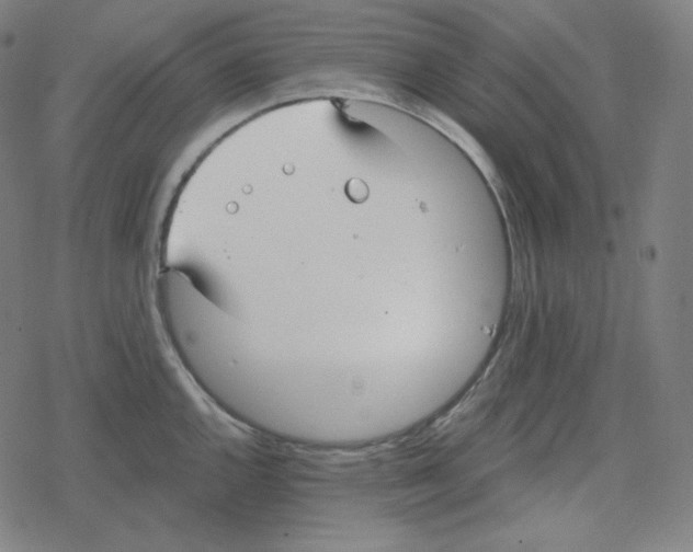 X0000078281144200612011738