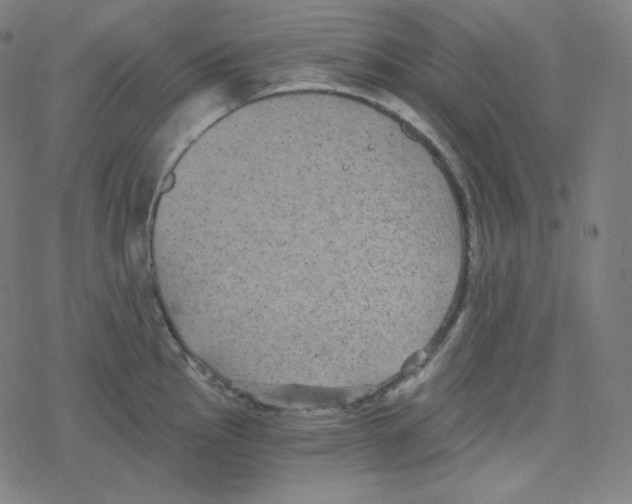 X0000078281145200612011738