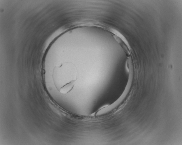 X0000078281146200612011738