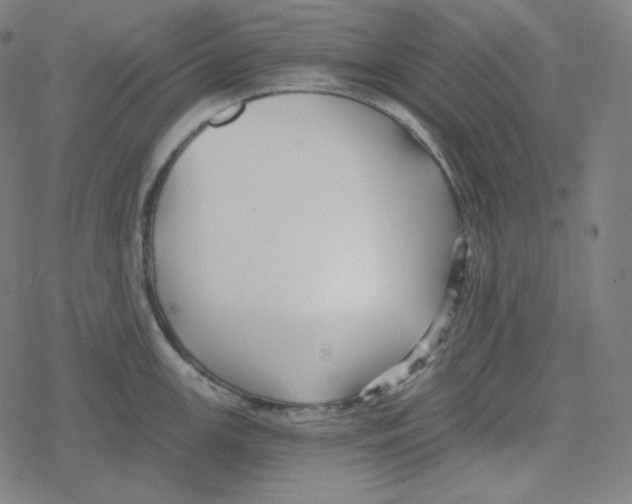 X0000078281147200612011738