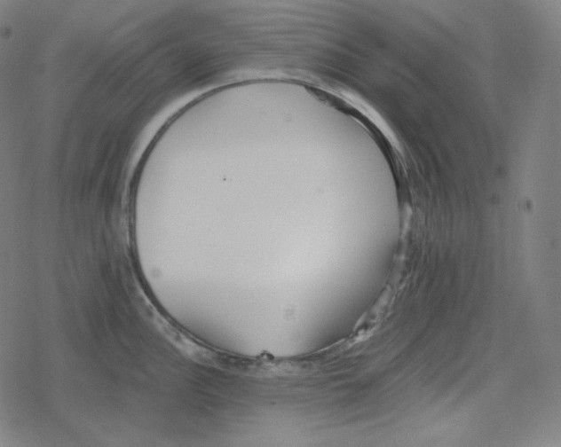 X0000078281148200612011738