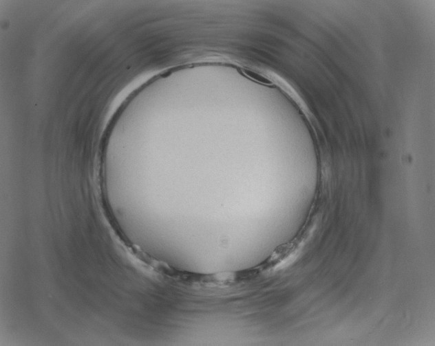 X0000078281149200612011738