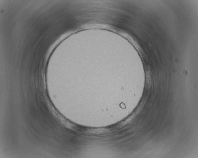 X0000078281150200612011738