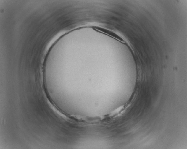 X0000078281151200612011738