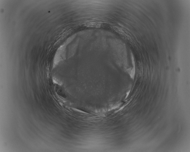 X0000078281154200612011737