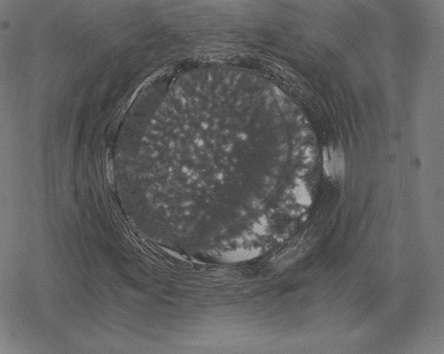 X0000078281155200612011737