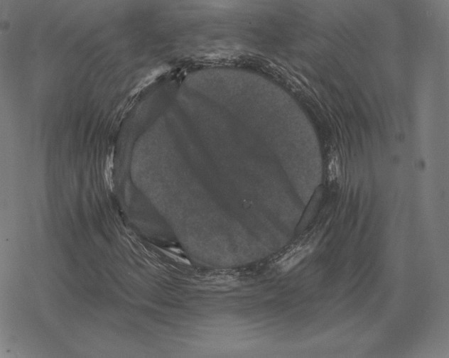 X0000078281156200612011737