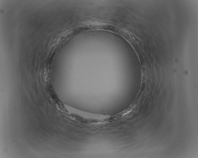 X0000078281157200612011737