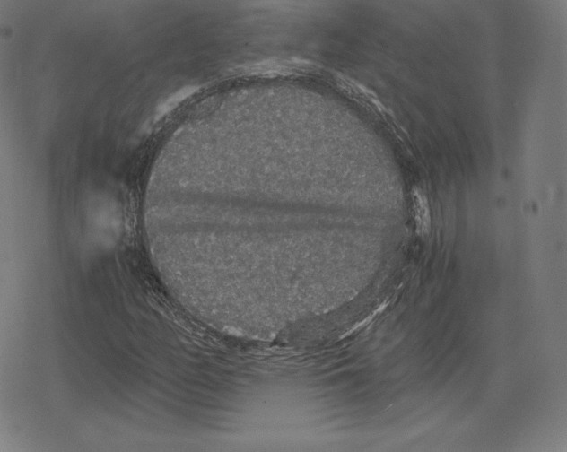 X0000078281158200612011737