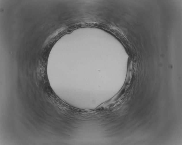 X0000078281159200612011737