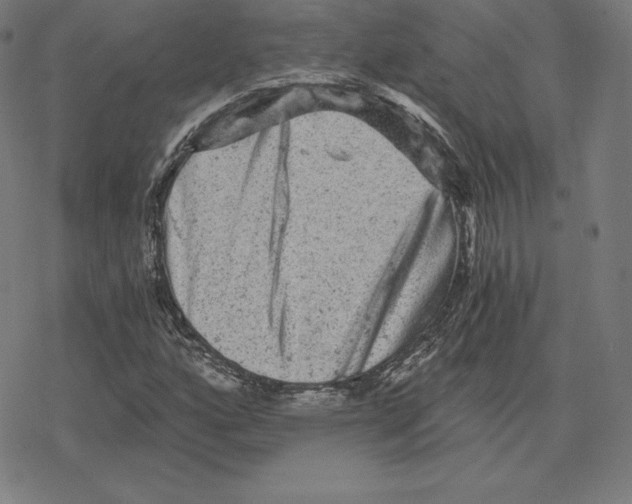 X0000078281160200612011737