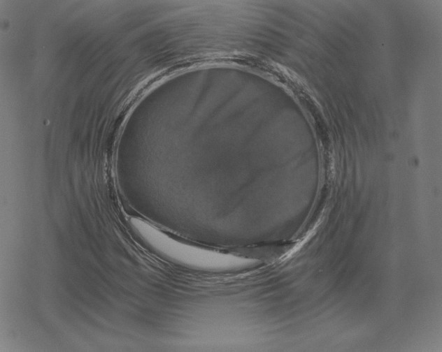 X0000078281161200612011737