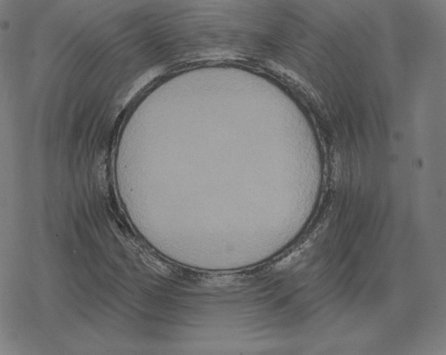 X0000078281162200612011737