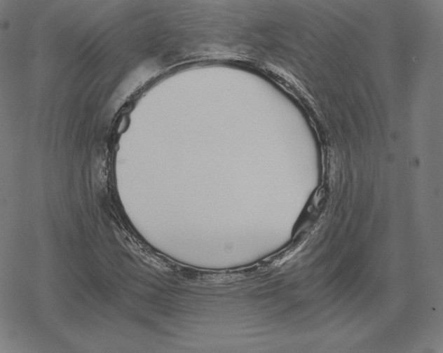 X0000078281163200612011737