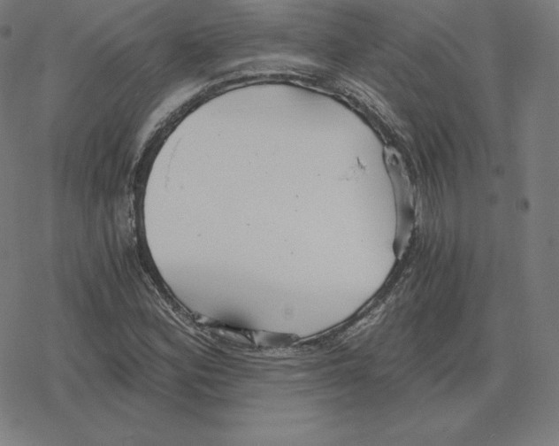 X0000078281164200612011737