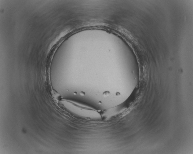 X0000078281165200612011737