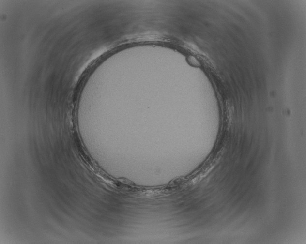 X0000078281166200612011737