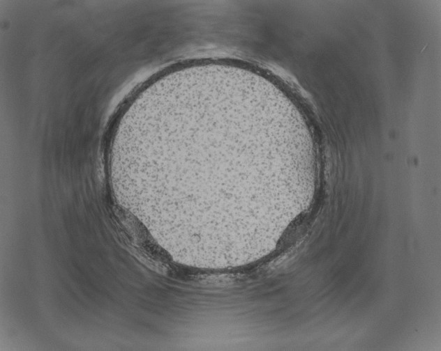 X0000078281167200612011737