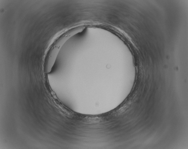 X0000078281168200612011737