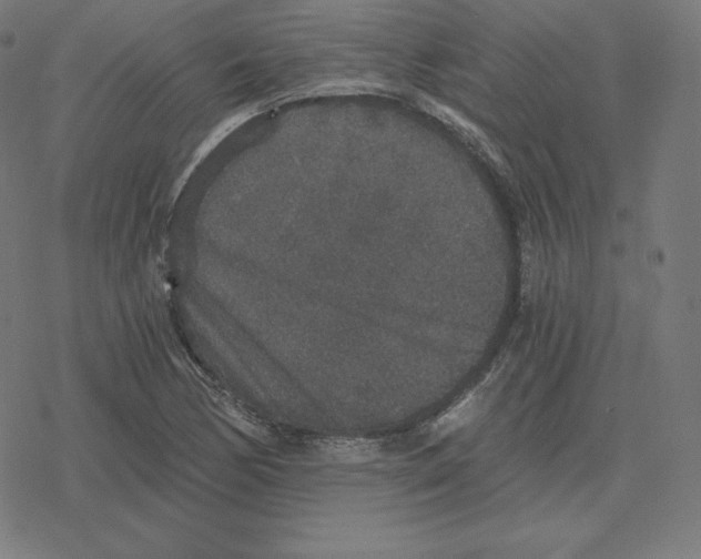 X0000078281170200612011737